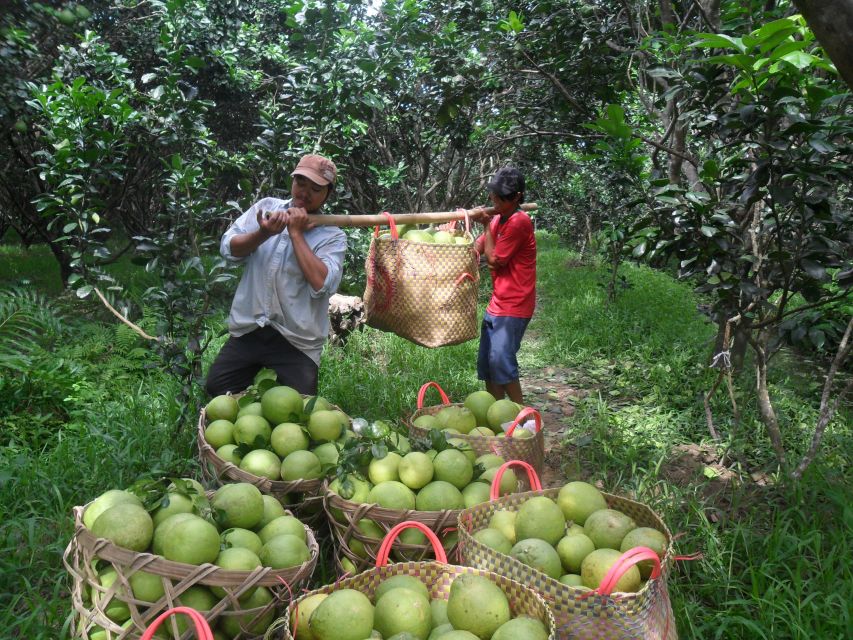 HCMC: Cai Rang Floating Market & Mekong Delta Private Tour - Honey tea, fruit, and village music