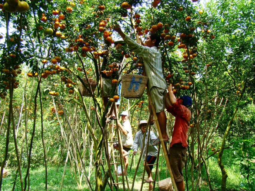 HCMC: Cai Rang Floating Market & Mekong Delta Private Tour - What the private price really buys you