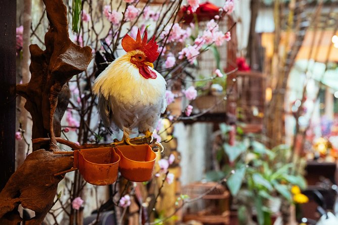 Highlights & Hidden Gems With Locals: Best of Hanoi Private Tour - Bach Ma Temple and the old center of Hanoi