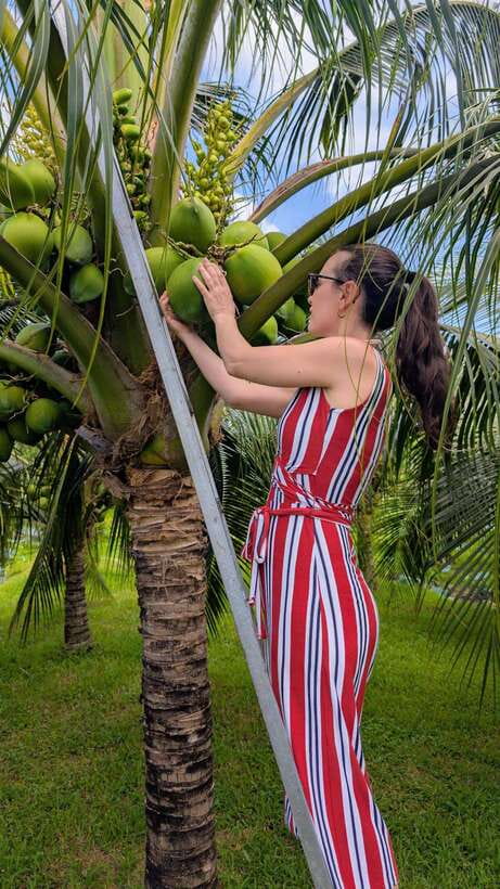 Ho Chi Minh: 1-Day Mekong Delta Tour-Floating Market & Islet - Is $70 a fair price?