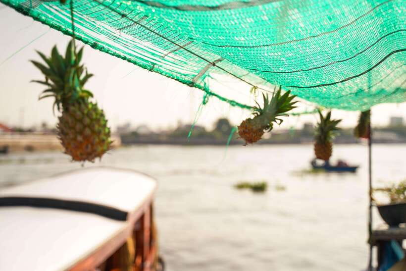 Ho Chi Minh: 3-Day Mekong Delta & Optional Exit to PhnomPenh - Day three: floating villages, Cham culture, and your onward route
