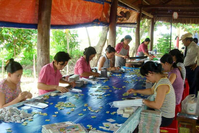 Ho Chi Minh: 3-Day Mekong Delta & Optional Exit to PhnomPenh - What $261 gets you