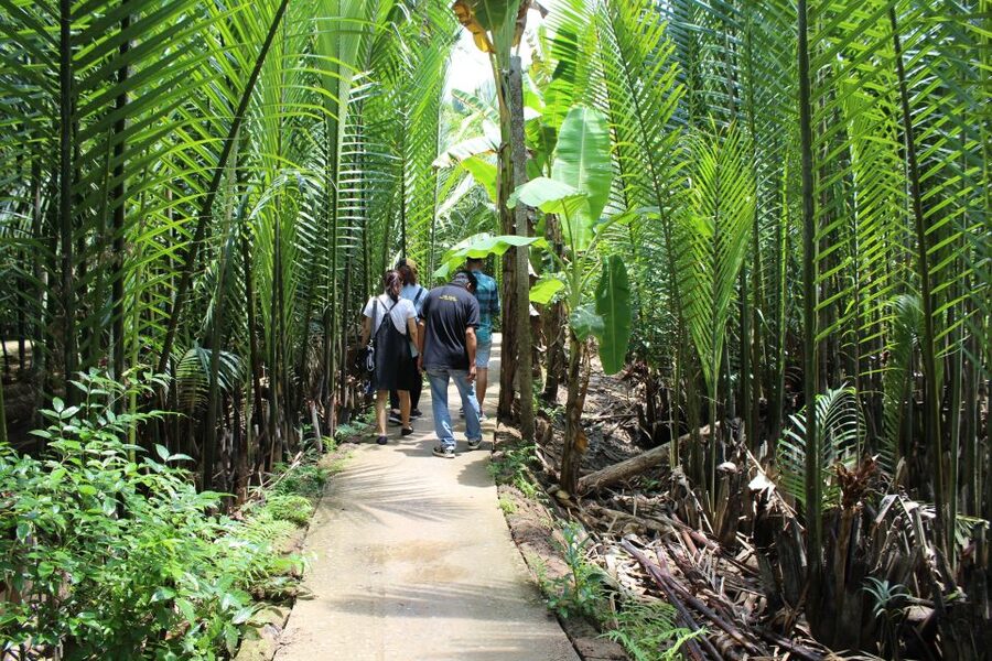 Ho Chi Minh City: Discover Mekong Delta & Coconut Village - Leaving Ho Chi Minh City Around 7:30am