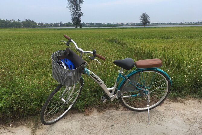 Hoi An countryside biking tour, water buffalo+ basket boat ride - The guides make a real difference