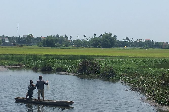 Hoi An countryside biking tour, water buffalo+ basket boat ride - Tra Que Vegetable Village and the seaweed-fed soil