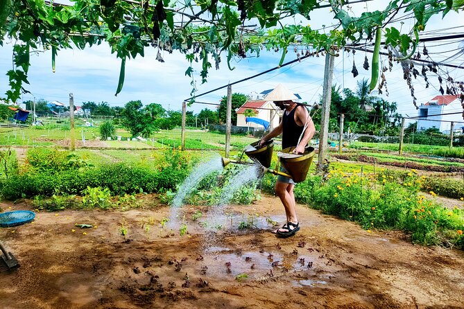 Hoi An countryside cycling tour - Why the countryside works better by bicycle