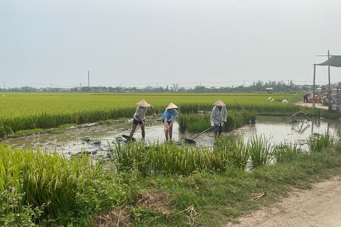 Hoi An Countryside Vespa Tour: Food, Culture & Daily Life - Tra Nhieu, Duy Vinh, and the Whale Temple