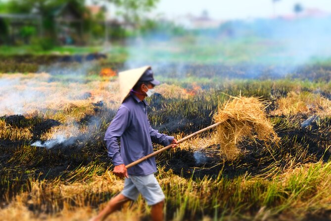 Hoi An Countryside Vespa Tour: Food, Culture & Daily Life - The meal that anchors the afternoon