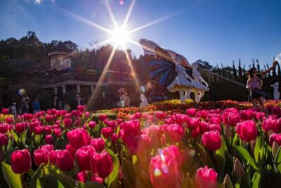 Hoi An/ Da Nang – Ba Na Hills – Golden Bridge Deluxe Small group