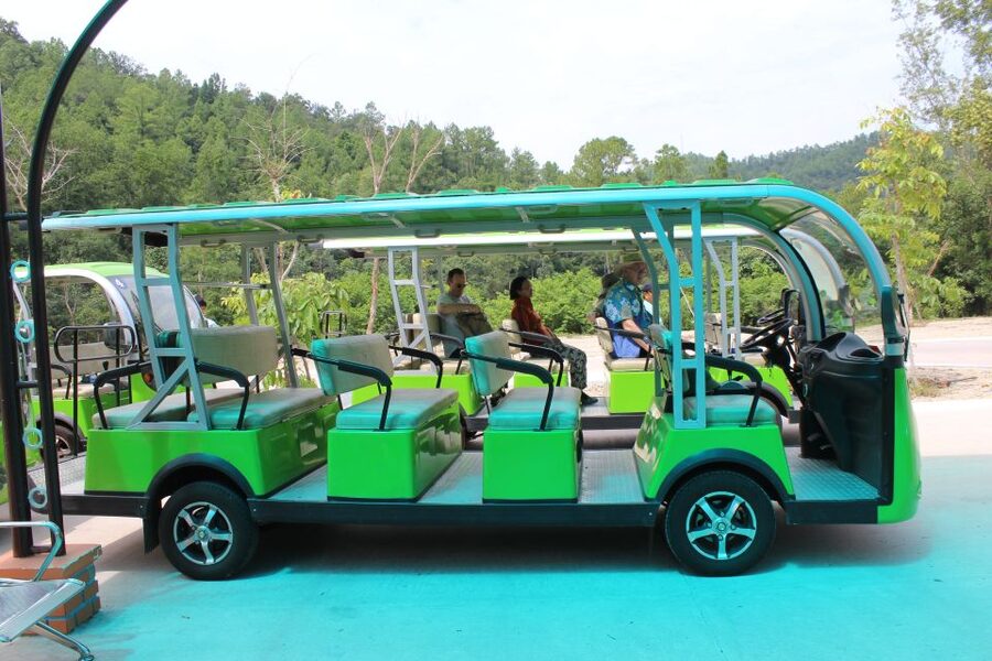 Hoi An/Da Nang: My Son Afternoon tour: Banh my and Cruise - Why My Son is worth the afternoon trip