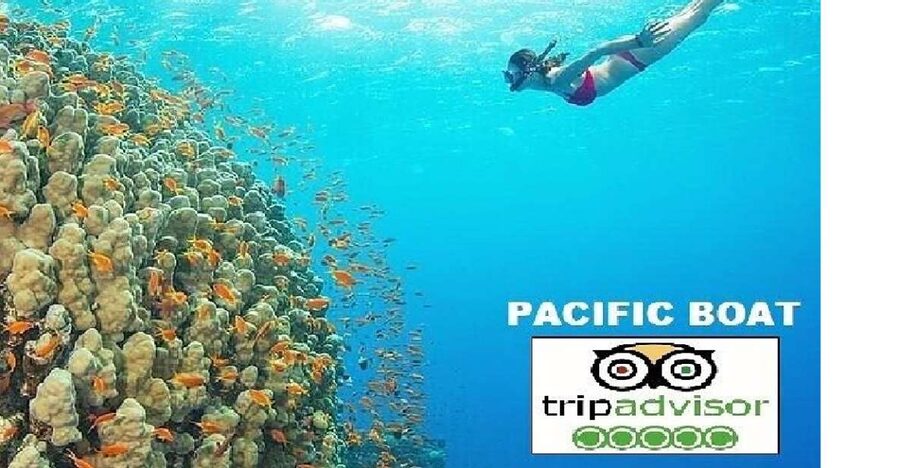 Hoi An/Da Nang: Snorkelling & Island-Hopping Speedboat Tour - Key points before you book