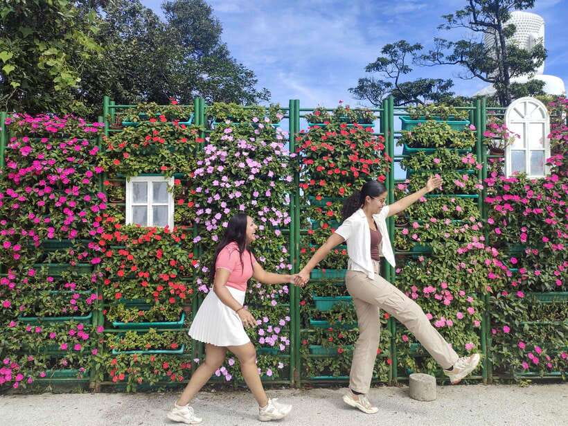 Hoi An: Full-day Ba Na Hills & Amazing Golden Bridge - Key points to know before you book