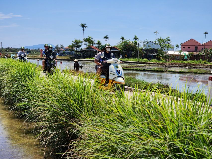 Hoi An Highlights and Hidden Gems Tour by Vespa - An My village and coffee beside the fields
