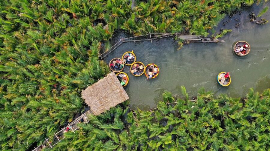 Hoi An: Hoi An Basket Boat Ride in Water Coconut Forest - Starting at Tram Tran Coconut or Nông Thôn Travel