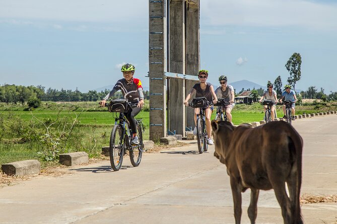 Hoi An Morning Countryside Tour by Bike - Key details before you book