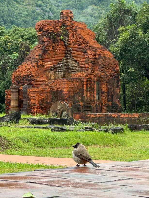 Hoi An: My Son Sanctuary Private Tour with Local Guide - Walking through the Champa temple groups