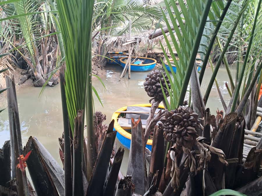 Hoi An: My Son Sanctuary with Basket Boat and Lunch Options - Adding the 45-minute Bay Mau basket boat ride