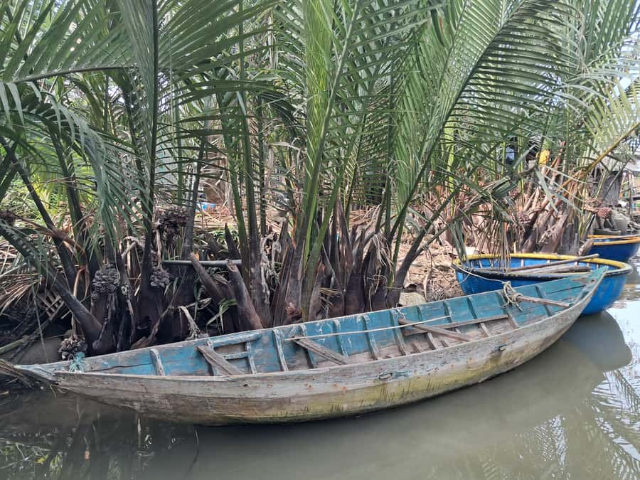 Hoi An: My Son Sanctuary with Basket Boat and Lunch Options - Practical tips for a smoother day