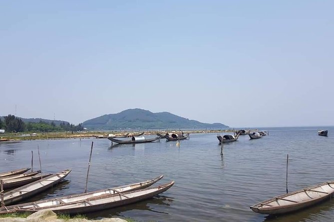 Hoi An to Hai Van Pass and back to Hoi An with Mr.T Easy Rider (One Day) - Hoi An back roads and the first taste of local life