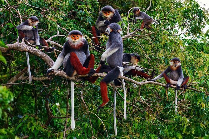 Hue to Dn/Hoi An: Hai Van Pass, beaches & Mt Monkey or vice versa - Comfort, luggage, and the private-car advantage