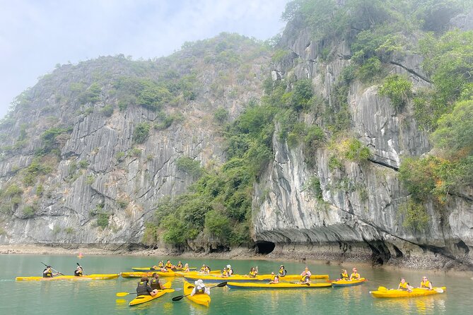 Lan Ha Bay day tour from Cat Ba, Hanoi - Serenity Boutique Cruise - What the $34.20 price includes