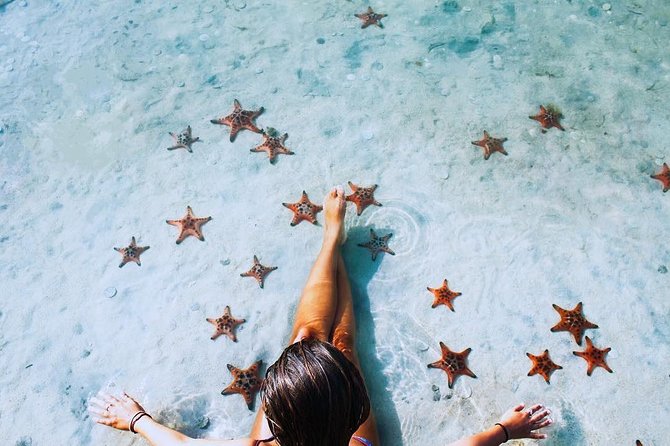 Land Tour 2: Discover the North - Kayaking & Starfish beach Phu Quoc (Not Lunch) - Paddling the Cua Can River