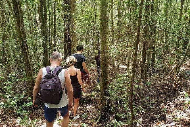 Land Tour 2: Discover the North - Kayaking & Starfish beach Phu Quoc (Not Lunch) - Bee farms, pepper stops, and schedule changes