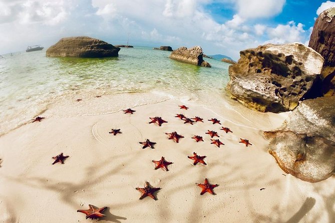 Land Tour 2: Discover the North - Kayaking & Starfish beach Phu Quoc (Not Lunch) - Walking under old trees in Phu Quoc National Park