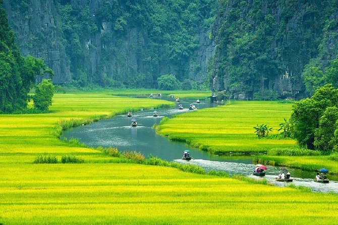 Luxury Hoa Lu - Tam Coc - Mua Cave 1 Day Tour - By Limousine & Small Group - Buffet lunch with Vietnamese and Asian dishes