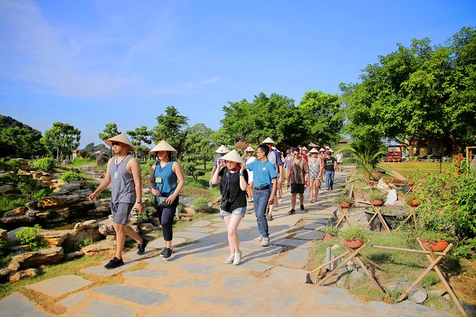 Luxury Hoa Lu Tam Coc Mua Cave 1 Day With Limousine Bus And Lunch - What the $52 price really covers