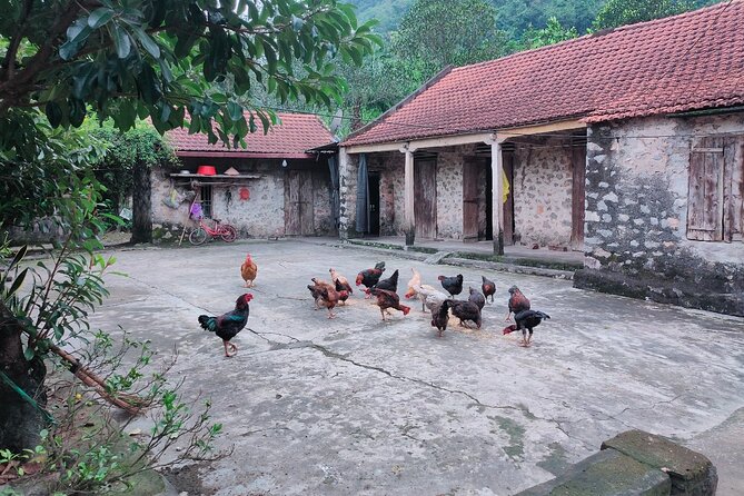 Luxury Ninh Binh Full Day Tour From Hanoi (Trang An - Hoa Lu) - A local lunch and a quiet tea break