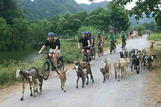 Luxury small Group Hoa Lu - Tam Coc - Mua Cave Max 6 - 8 pax/tour - Cycling through rural Ninh Binh