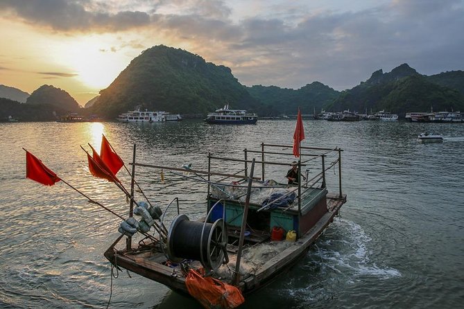 Magical Sunset and Evening with glowing plankton by Cat Ba Local - Night kayaking among the plankton