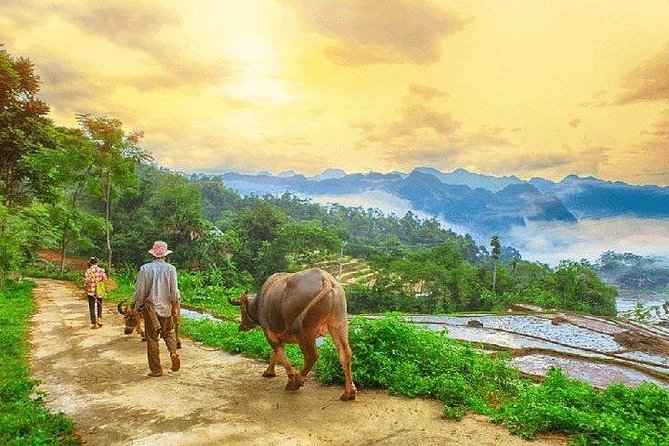 MAI CHAU 1 DAY TOUR | HIDDEN CHARM | SHARED or PRIVATE OPTIONS - The road from Hanoi to Thung Khe Pass