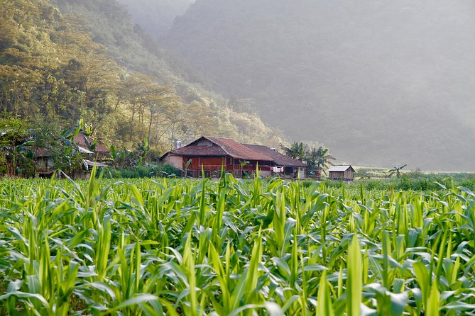 Majesty Of Untouched Northern Vietnam Tour 6 Days - Day 6: Boating, Cam Village, and Puong Cave