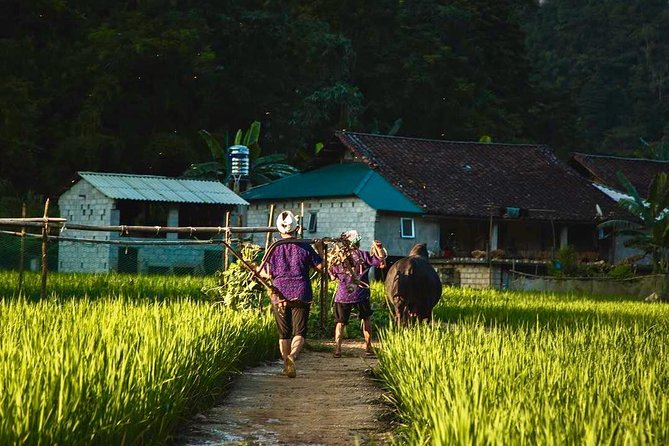 Majesty Of Untouched Northern Vietnam Tour 6 Days - What the private format changes