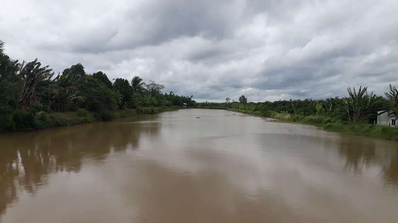 Mekong Day Tour by Car:Cai Be market, Local Island & Cycling - What the $125 price really covers