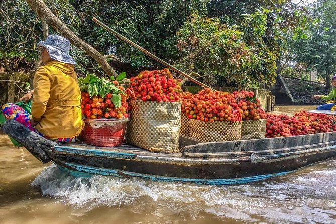 Mekong Delta 2-Day Tour: Floating Markets, Biking, Amazing Tour - Transport, group size, and the value of $61.41