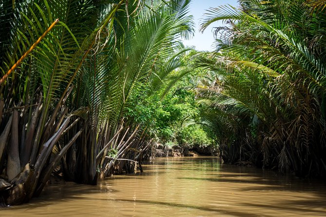Mekong Delta Small Group Full Day Tour - What the guides add to the day