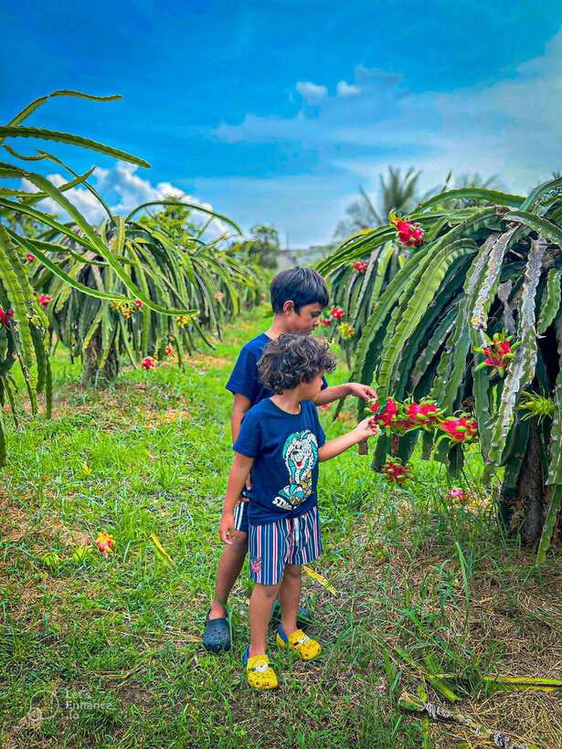Mui Ne: Best day to Ta Cu Mountain Cable Car & Lying Buddha - Phan Thiet Fishing Harbor shows the working coast