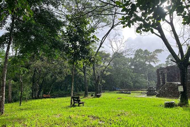 My Son Sanctuary Guided Tour with Rice Paper Making from Da Nang - Is $27 good value?