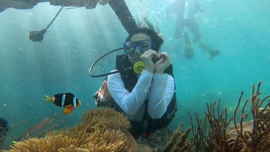 Nha Trang: Coral Reef Snorkeling and Floating Bar Party - What kind of day is this on Nha Trang Bay?