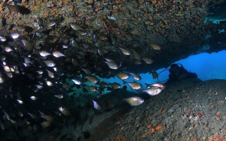 Nha Trang: Scuba Diving Experience for Non-Certified Divers - Learning the equipment with a PADI instructor