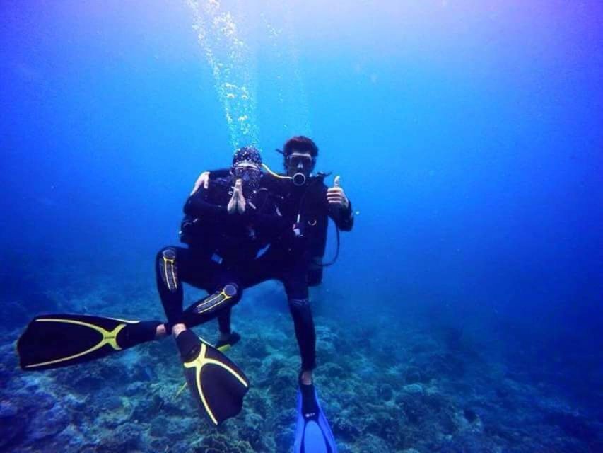 Nha Trang: Scuba Diving Experience for Non-Certified Divers - Coral, fish, and a realistic view of visibility