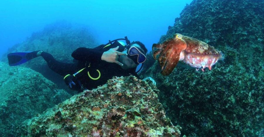 Nha Trang: Scuba Diving Experience for Non-Certified Divers - Lunch near the fishing base