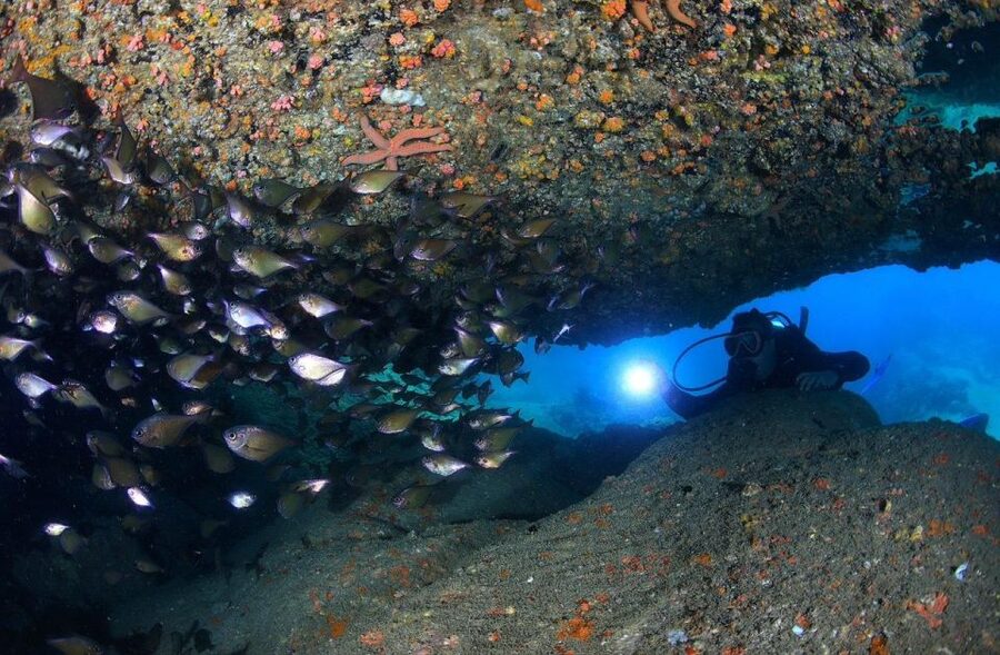 Nha Trang: Scuba Diving Experience for Non-Certified Divers - What the $54 price really includes