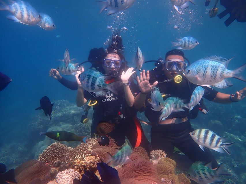 Nha Trang: Scuba Diving Experience for Non-Certified Divers - Getting from Nha Trang to the boat