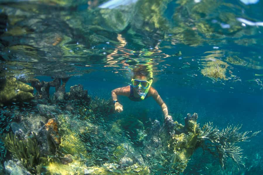 Nha Trang: Snorkeling Tour with BBQ Lunch at Coral Reef - Key points to know before booking