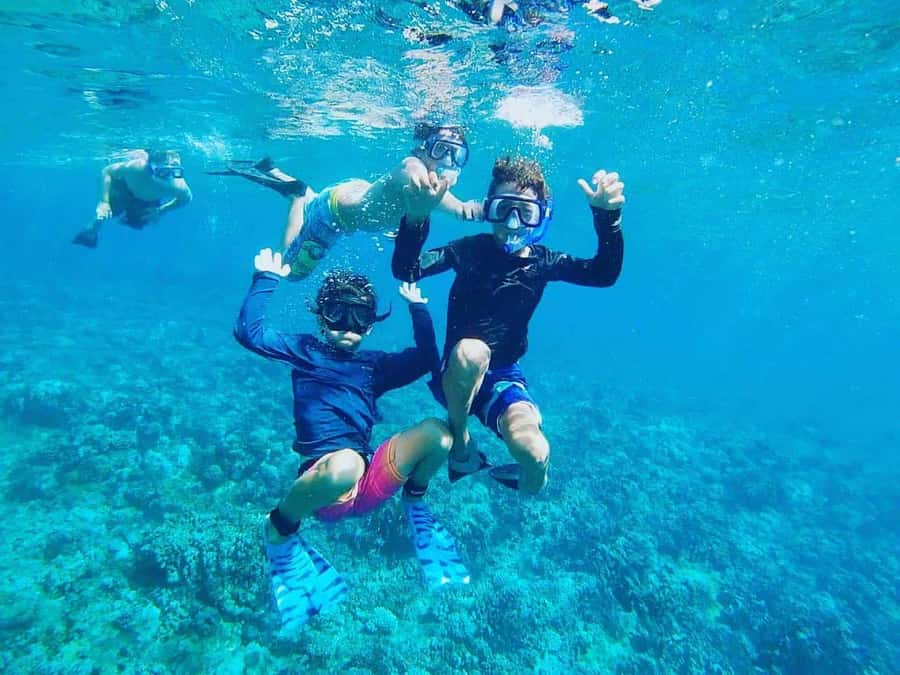Nha Trang: Snorkeling Tour with BBQ Lunch at Coral Reef - The 7:00 AM hotel pickup and port transfer