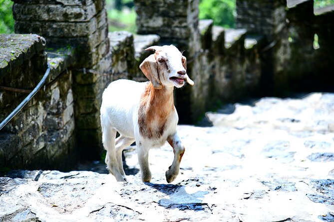 Ninh Binh 2 days 1 night Tour from Hanoi (Small Group of 9) - Hoa Lu connects the scenery with Vietnam’s past